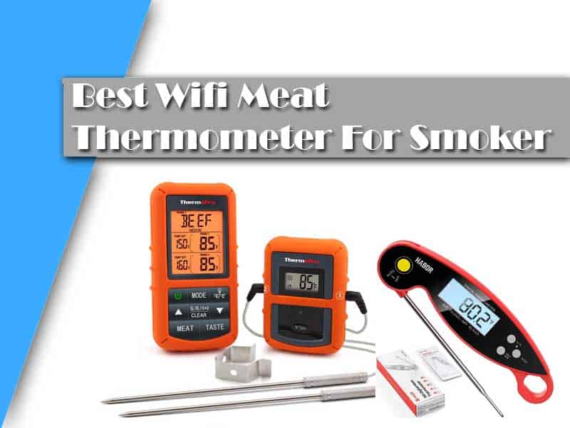 Read more about the article The 10 Best Wifi Meat Thermometer For Smoker Reviews for 2021
